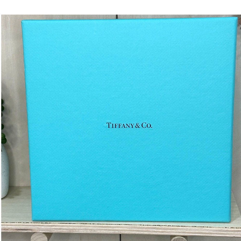 TIFFANY & COMPANY 8.5" Square Gift Box with Tissue and Protective Sleeve